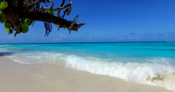 Schuimige Turquoise Golven Aan Kust Exotische Reis Naar Bali Indonesië — Stockvideo