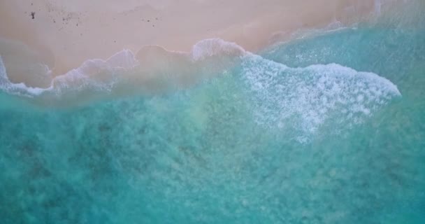 穏やかなビーチエリア インドネシア バリの自然 — ストック動画