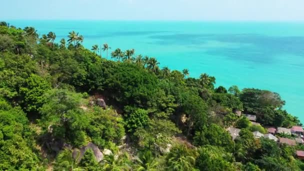 Turkuaz Deniz Manzaralı Yeşil Palmiyeli Bir Dağ Hawaii Manzarası Abd — Stok video