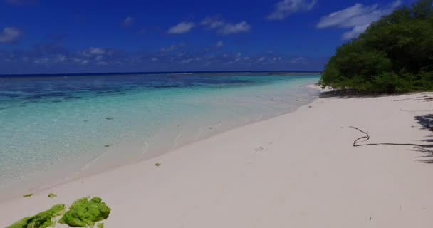 Playa Clara Con Agua Ctystal Vacaciones Tropicales Bahamas Caribe — Vídeo de stock