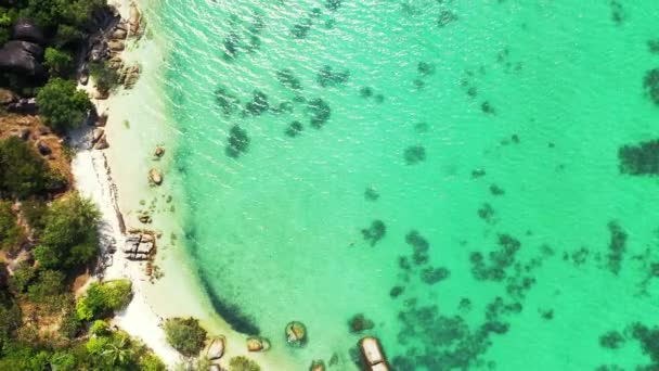 Bovenaanzicht Eiland Met Groen Water Idyllisch Karakter Van Bali Indonesië — Stockvideo