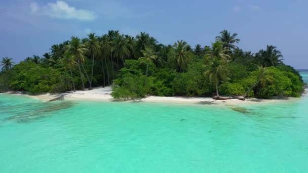 모래와 청록색 바다가 프랑스령폴리네시아의 보라에 — 비디오