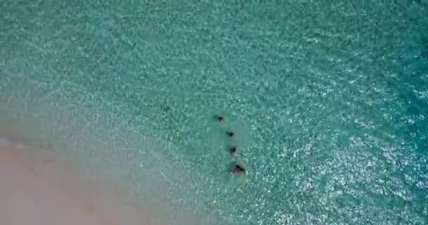 Вид Зверху Відео Над Поверхнею Бірюзової Чистої Води Біля Пляжу — стокове відео