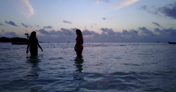 Imágenes Siluetas Chicas Hablando Mar Por Noche — Vídeos de Stock
