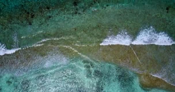 海の波を見て ドミニカ共和国 カリブ海のエキゾチックな自然 — ストック動画