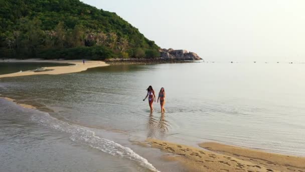 Duas Jovens Amigas Biquíni Andando Água Mar Mulheres Bonitas Descansando — Vídeo de Stock