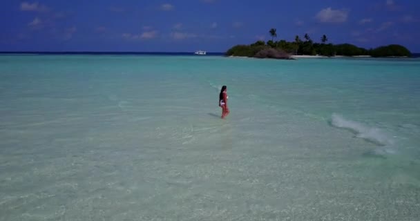 Levegő Kilátás Bikini Séta Vízben Trópusi Szigeteken — Stock videók