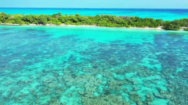 Bright Turquesa Playa Por Mañana Vacaciones Verano Jamaica Caribe — Vídeo de stock