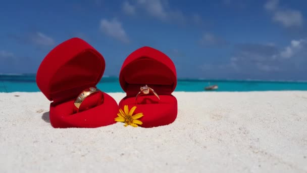 Золотые Кольца Красных Коробках Пляже Летний Отдых Бали — стоковое видео