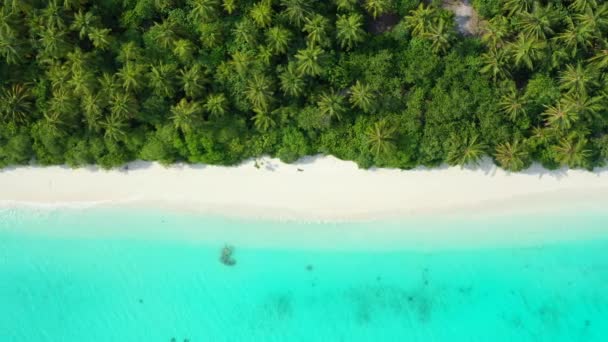 Vista Aérea Bela Praia Turquesa Calma Viagem Exótica Bora Bora — Vídeo de Stock