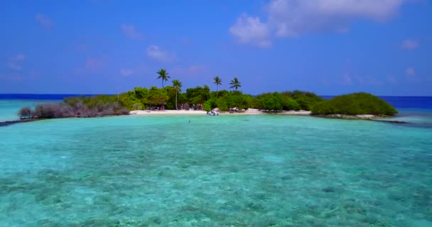 Green Long Island Turquoise Water Sandy Coastline Natural Scene Fiji — Stock Video