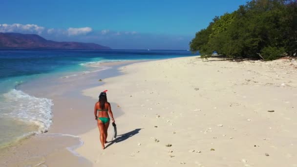 Femme Tenant Des Palmes Équipement Sur Plage Été — Video