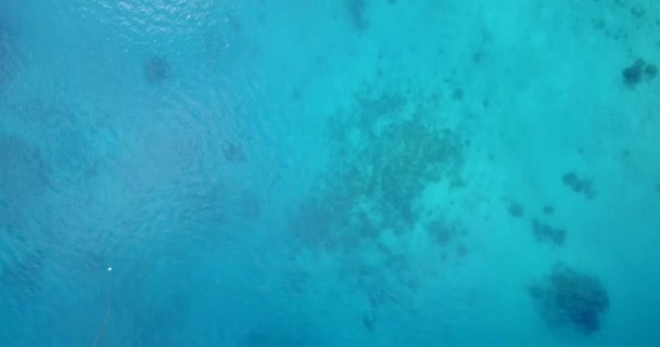 拍打蓝色海水的景色 巴厘岛的夏季放松 — 图库视频影像