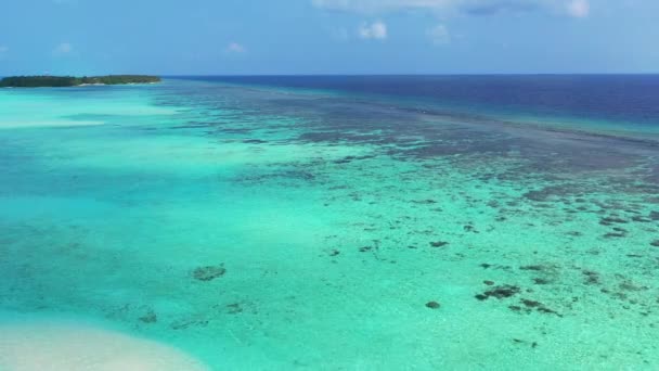 Lugn Turkos Havsstrand Med Grön Frodig Lång Exotiskt Resor Till — Stockvideo