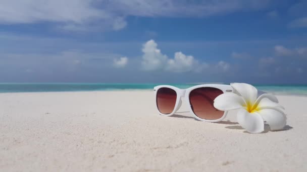Sunglasses Sea Coast Summer Relax Bora Bora French Polynesia — Stock Video