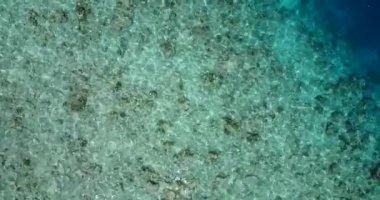 Tayland adasında mercan resifli güzel turkuaz su 