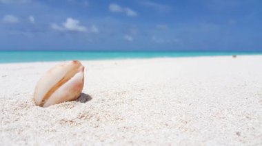 Bora Bora 'nın egzotik doğası, Fransız Polinezyası. 