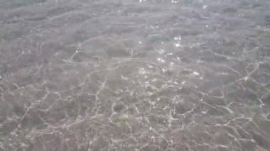 Dalgalanan deniz doğal arka planı. Barbados, Karayiplerin güneşli doğası. 