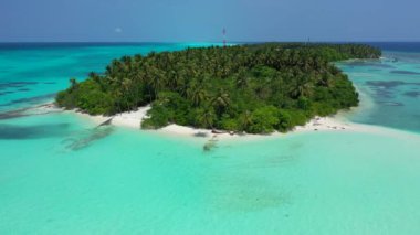 Deniz doğası. Bora Bora 'nın egzotik doğası, Fransız Polinezyası. 