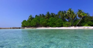 Adada yemyeşil palmiyeleri olan şeffaf su, yaz tatili konsepti, Tayland.