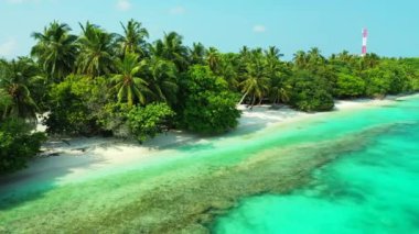 Yeşil sahil turkuaz denizi. Dominik Cumhuriyeti, Karayipler 'e yaz gezisi.