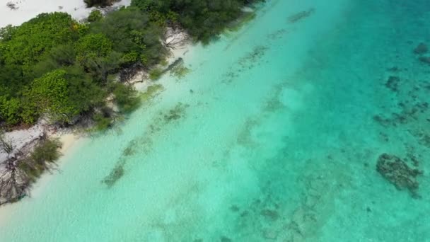 Πάνω Άποψη Του Τυρκουάζ Ωκεανού Λευκό Μονοπάτι Άμμο Τοπίο Της — Αρχείο Βίντεο