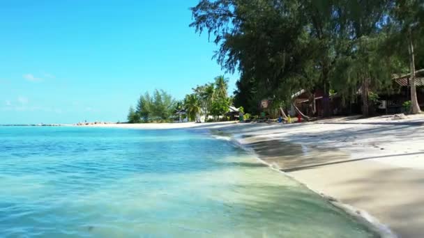 Costa Clara Isla Tropical Por Mañana Viaje Verano Australia — Vídeo de stock