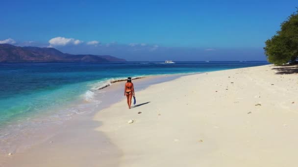 Femme Marche Avec Des Nageoires Masque Sur Plage — Video