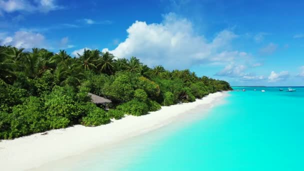 Mar Azul Turquesa Brilhante Costa Ilha Natureza Idílica Indonésia — Vídeo de Stock
