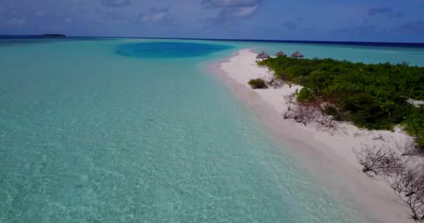 Peleryna Morska Jasnych Kolorach Egzotyczna Podróż Barbados Karaiby — Wideo stockowe