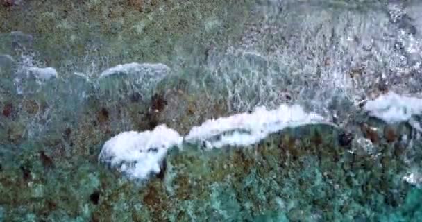 Des Vagues Mouvantes Mer Cristal Paradis Tropical Bora Bora Polynésie — Video