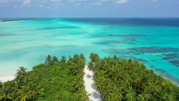 Zielone Palmy Wyspie Wiev Krajobraz Morski Wakacje Malediwach Azja Południowa — Wideo stockowe