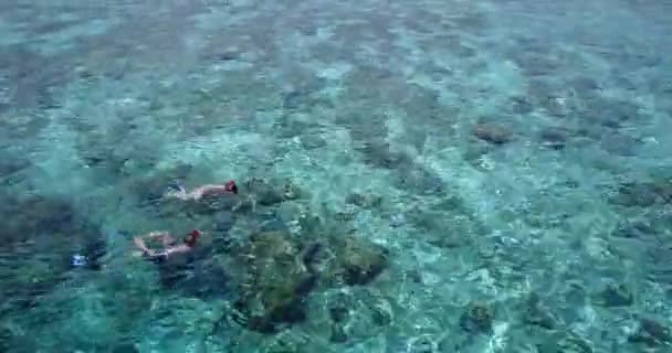 在马尔代夫 一对年轻漂亮的夫妇在晶莹清澈的水面上游泳和潜水 享受夏日异国情调的假期 — 图库视频影像