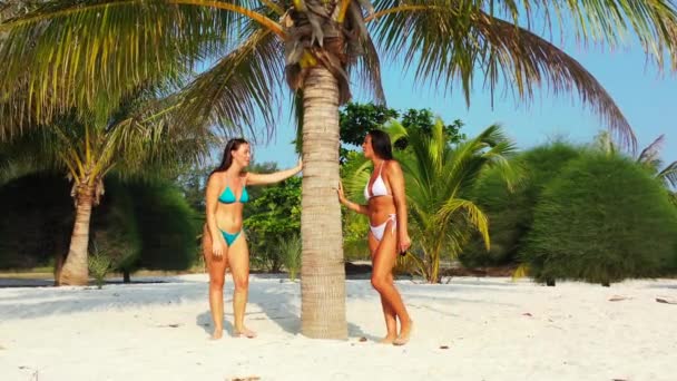 Twee Jonge Vriendinnen Bikini Die Zandige Zeekust Staan Onder Palmbomen — Stockvideo