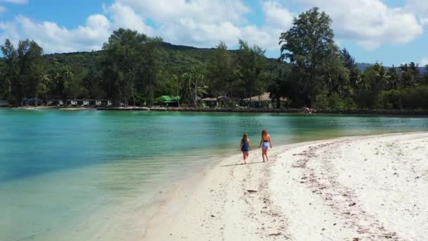 Vue Des Filles Marchant Sur Plage Sable Parlant Quelque Chose — Video