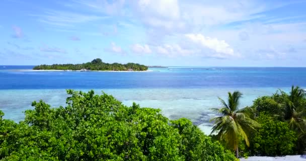 Saftig Grüne Bäume Der Inselküste Sommerlandschaft Dominikanische Republik Karibik — Stockvideo