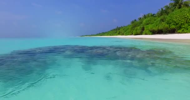 Острів Білим Піском Бірюзовим Морем Тропічний Рай Бора Бора Французька — стокове відео