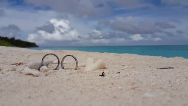 Trouwringen Met Koralen Het Strand Tropisch Karakter Van Bahama Caribisch — Stockvideo