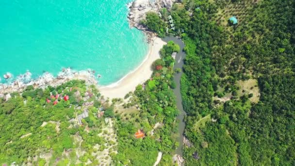 Vibrante Playa Tropical Turquesa Naturaleza Soleada República Dominicana Caribe — Vídeo de stock