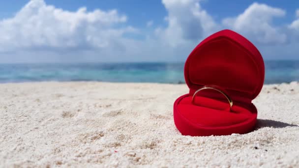 赤いベルベットの箱に結婚指輪 インドネシアのバリへの旅行 — ストック動画