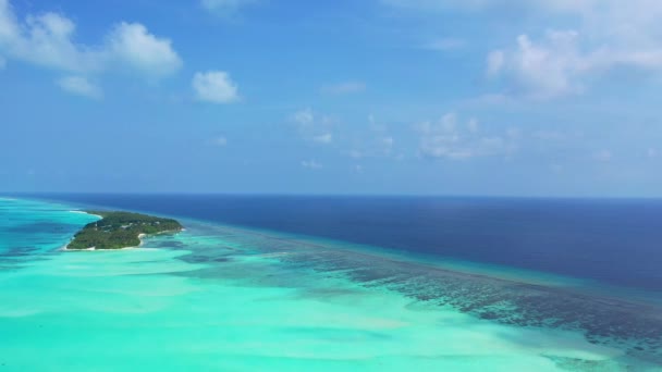 Grüner Inselrand Mit Türkisfarbenem Wasser Sonnige Natur Von Barbados Karibik — Stockvideo