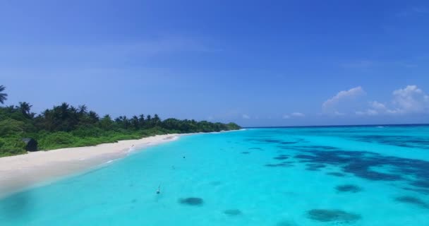 Bord Mer Avec Eau Turquoise Lumineuse Détente Estivale Bora Bora — Video