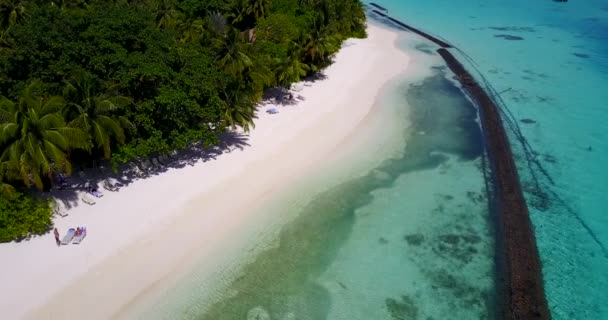 Tropikal Adada Dalgalar Maldivler Seyahat Güney Asya — Stok video