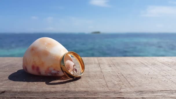 Seashell Fede Nuziale Sfondo Spiaggia — Video Stock