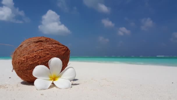 Noix Coco Mûre Avec Fleur Plumeria Sur Rivage Vacances Exotiques — Video