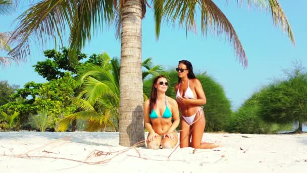 Two Young Girl Friends Bikini Sitting Sandy Sea Coast Palm — Stock Video