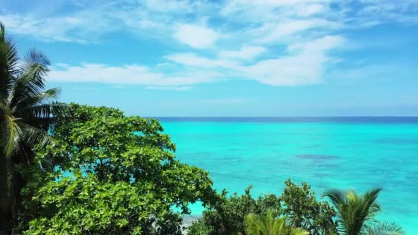 Wyspa Tętniącym Życiem Morzu Turkusowym Egzotyczne Wakacje Dominikana Karaiby — Wideo stockowe