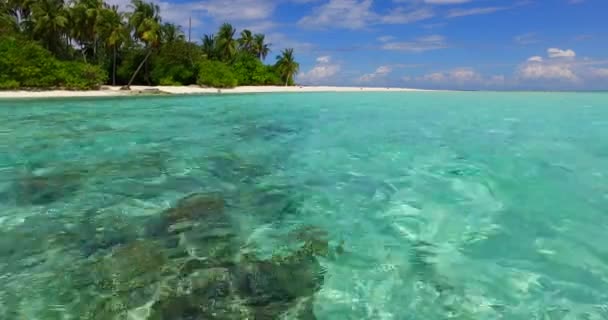 ボラのエキゾチックな自然 フランス領ポリネシア — ストック動画