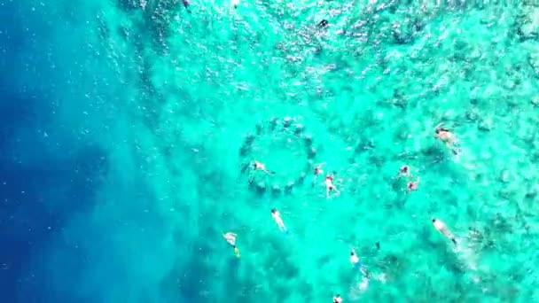 Turistas Buceando Aguas Cristalinas Disfrutando Vacaciones Tropicales Bali Indonesia — Vídeo de stock