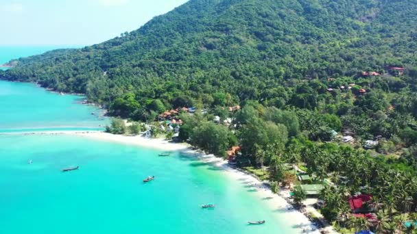Picturesque Sea View Green Island Marina Yachts Літній Краєвид Ямайці — стокове відео